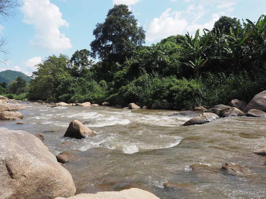 Get away from the hustle and bustle of Chiang Mai city and enjoy a day in the utter beauty of mother nature. There is river rafting, you can watch elephants (but please DO NOT ride on them), breathe fresh mountain air and see villages of hilltribes.