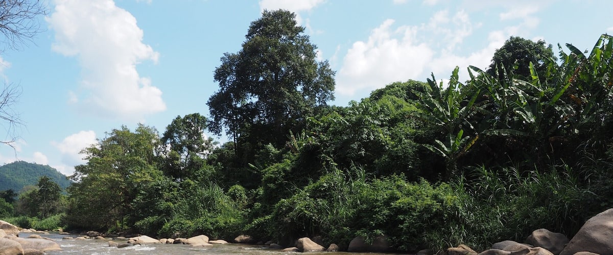 A river flowing through a rocky landscape with large boulders and dense green foliage.