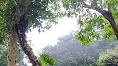 On top of this mystic tropical mountain in ChiangRai, Thailand. I found this unbelievable gorgeous garden. Soo beautiful.