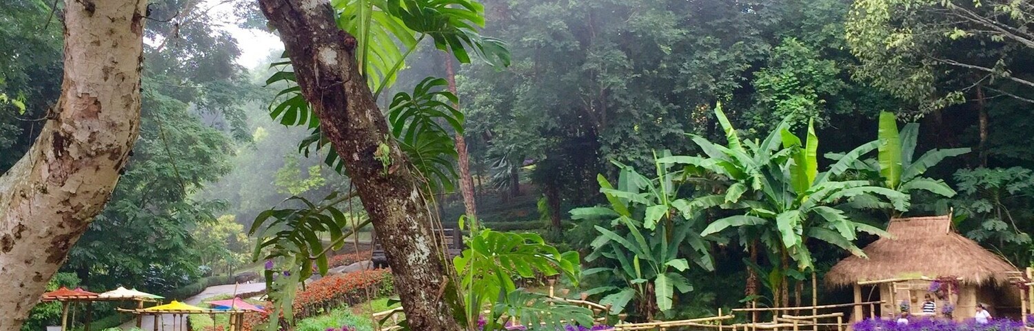 On top of this mystic tropical mountain in ChiangRai, Thailand. I found this unbelievable gorgeous garden. Soo beautiful.