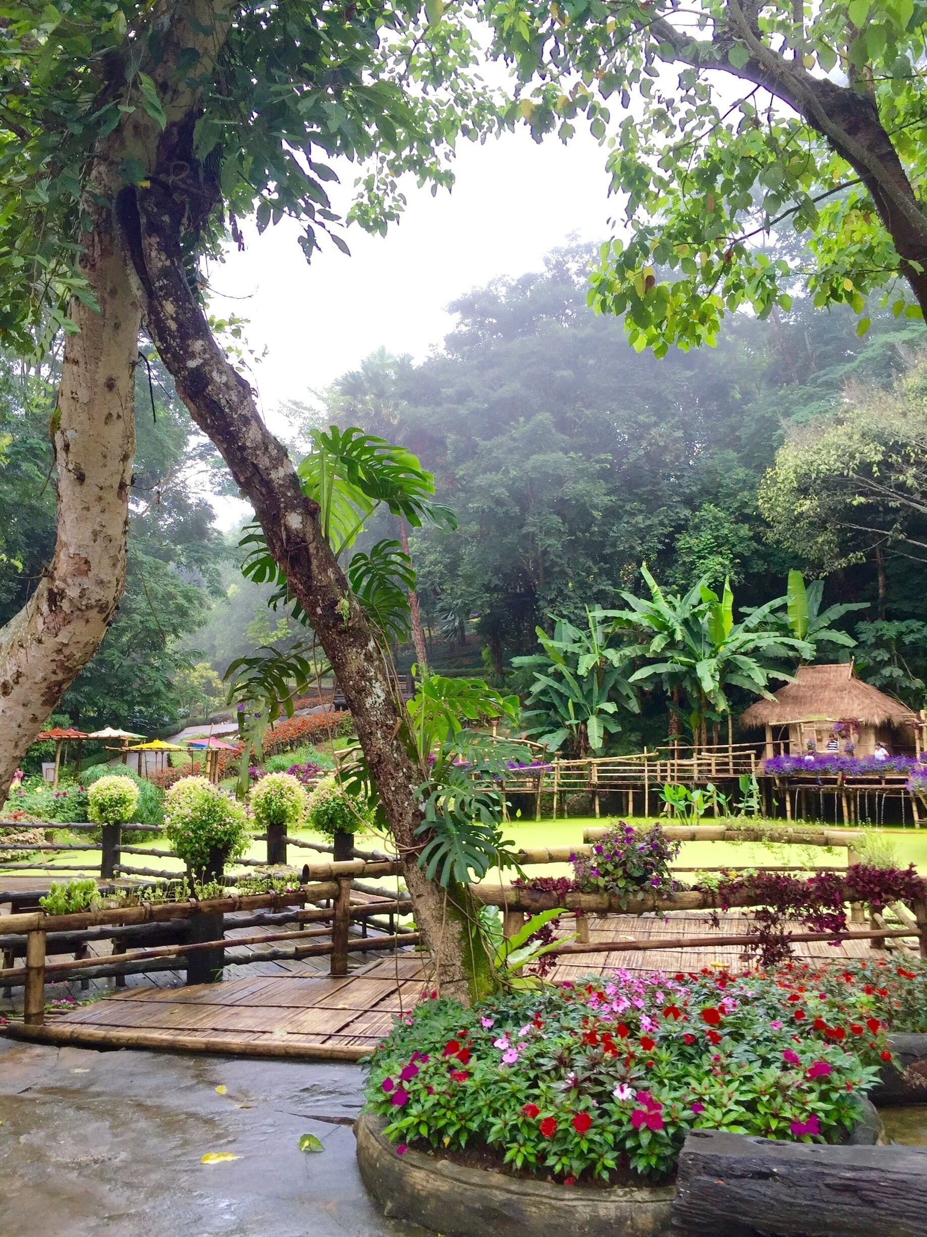 A lush garden with a variety of plants, a small pond, and a wooden bridge.