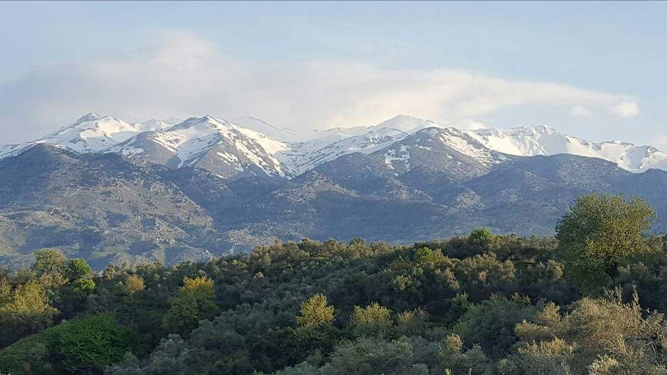 View of the white top mountains 