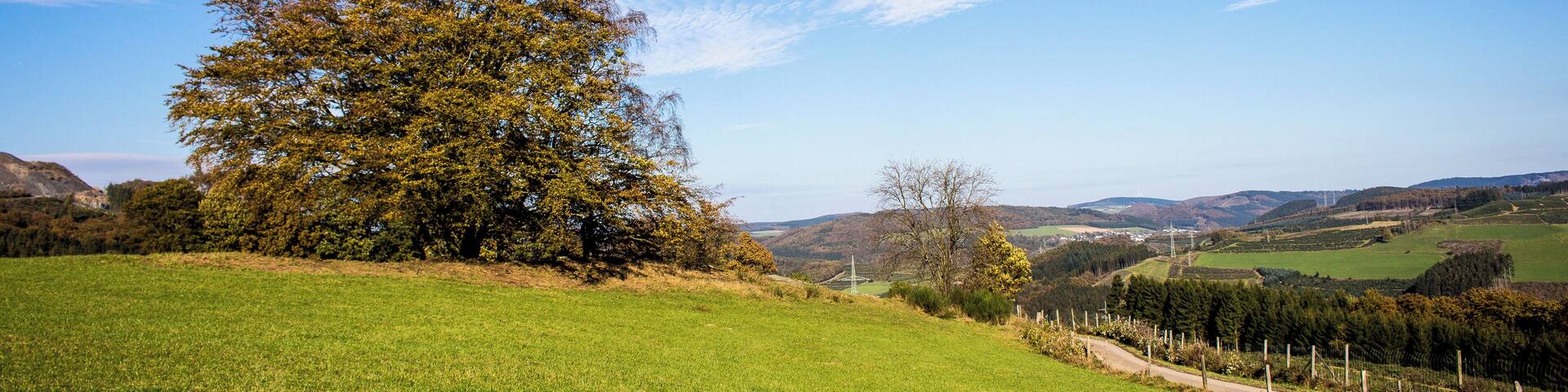 Landschaft im Sauerland bei Ramsbeck (?), Hochsauerlandkreis, Nordrhein-Westfalen