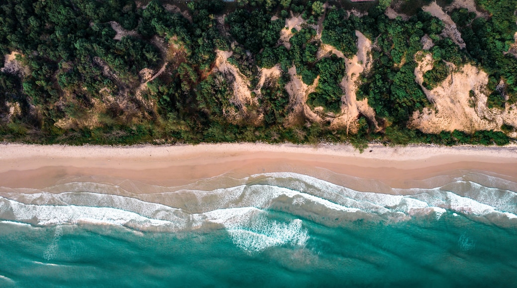 A sandy beach with clear turquoise waters and dense forested cliffs.