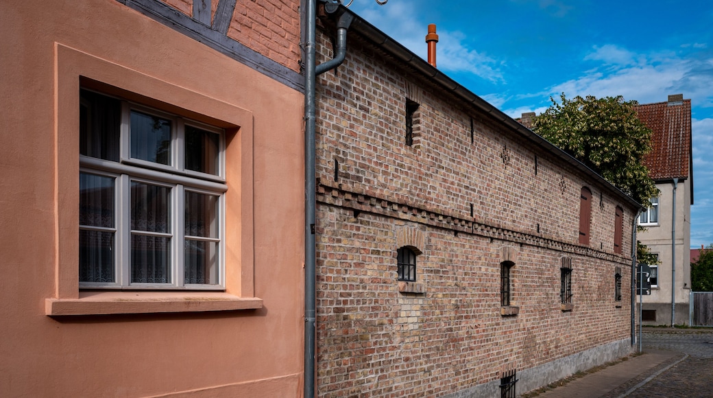 A brick building with a window and a tree in the background.