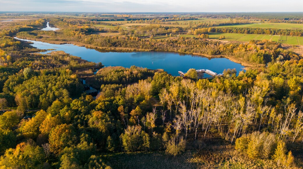 A lake surrounded by dense forest, a bridge crossing the lake, and distant wind turbines.