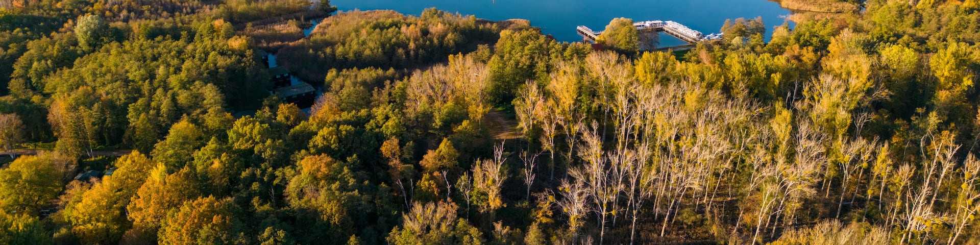 A lake surrounded by dense forest, a bridge crossing the lake, and distant wind turbines.