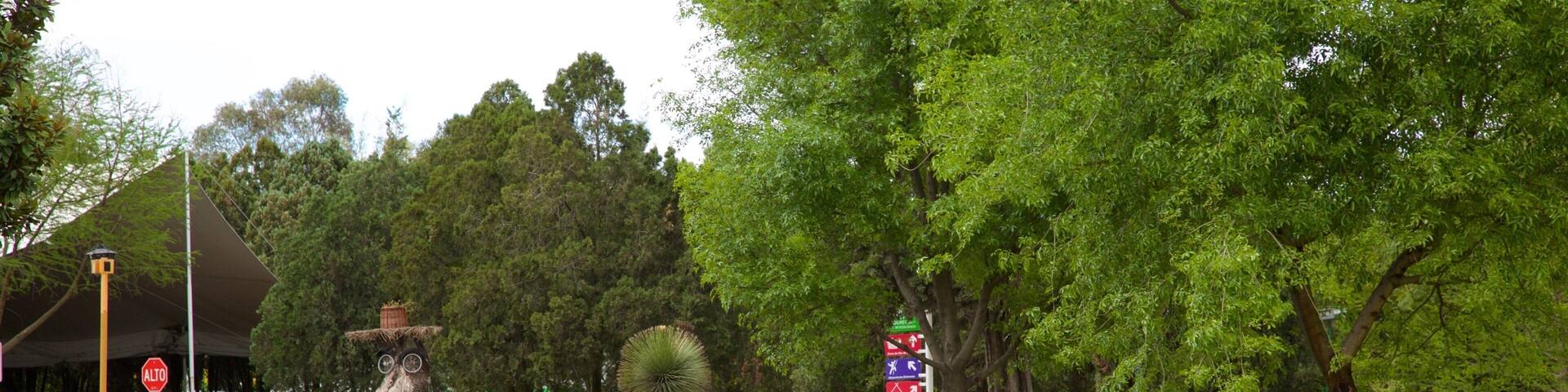 A park with a large tree sculpture, a stop sign, and people riding go-karts.