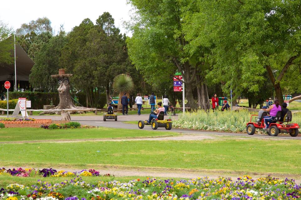 Un parc amb una gran escultura arbòria, un senyal de parada i persones conduint karts.