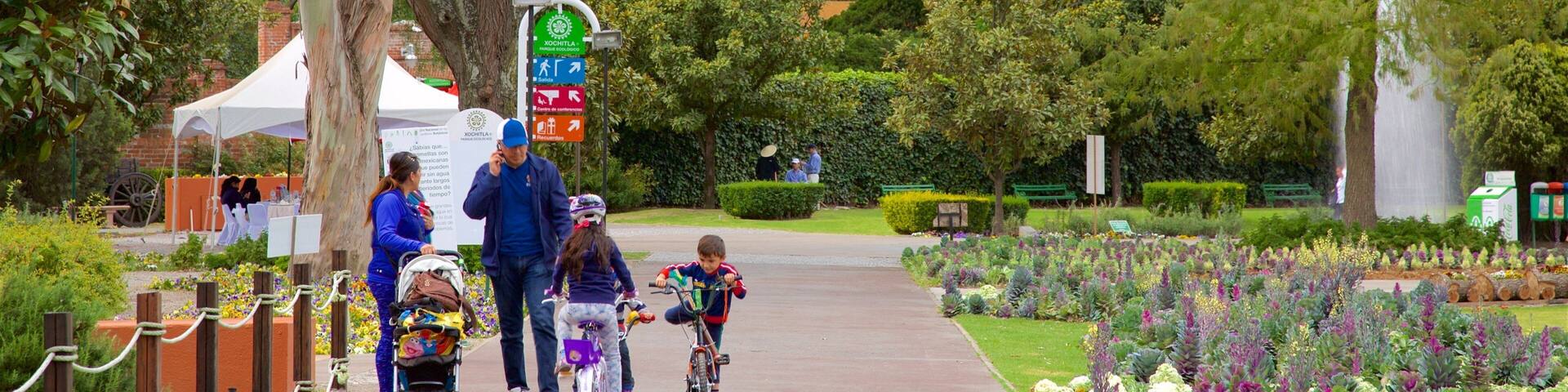 Xochitla mostrando fiori di campo e parco cosi come famiglia
