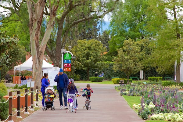 Xochitla mostrando fiori di campo e parco cosi come famiglia