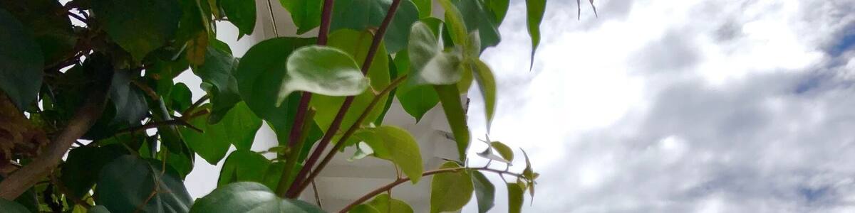 Pretty little colonial town just less than 2 hours drive from Medellín