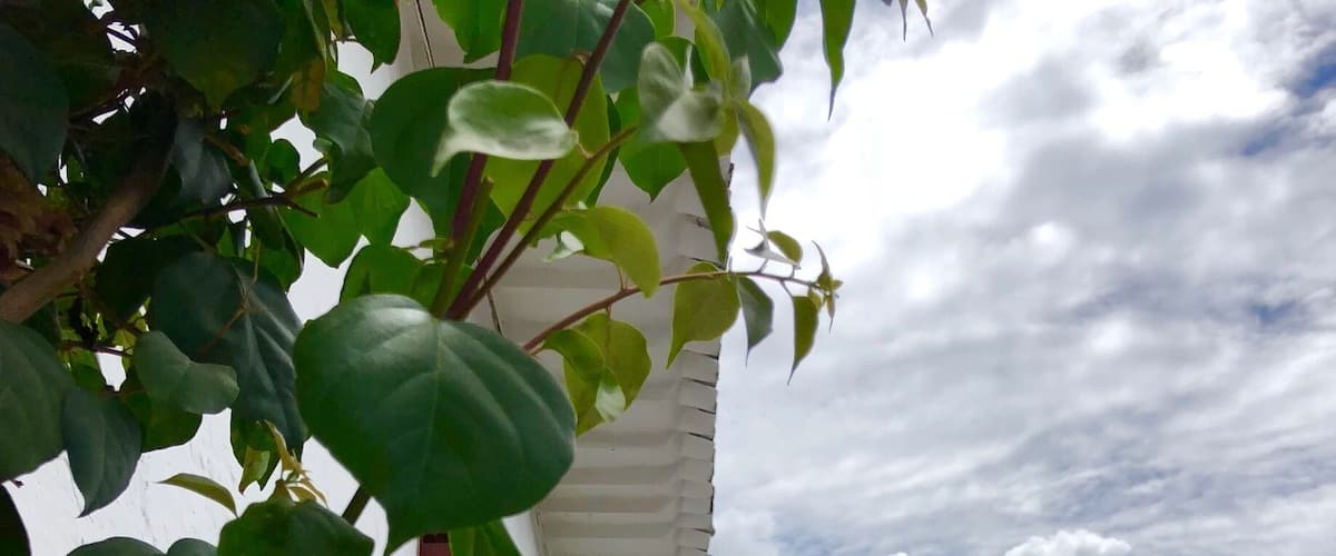 Pretty little colonial town just less than 2 hours drive from Medellín