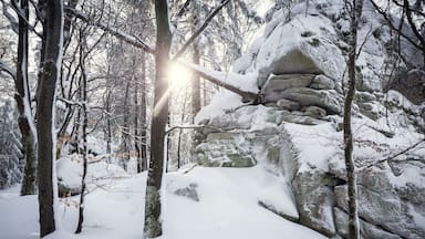 Verschneite Felsen im Naturpark Steinwald