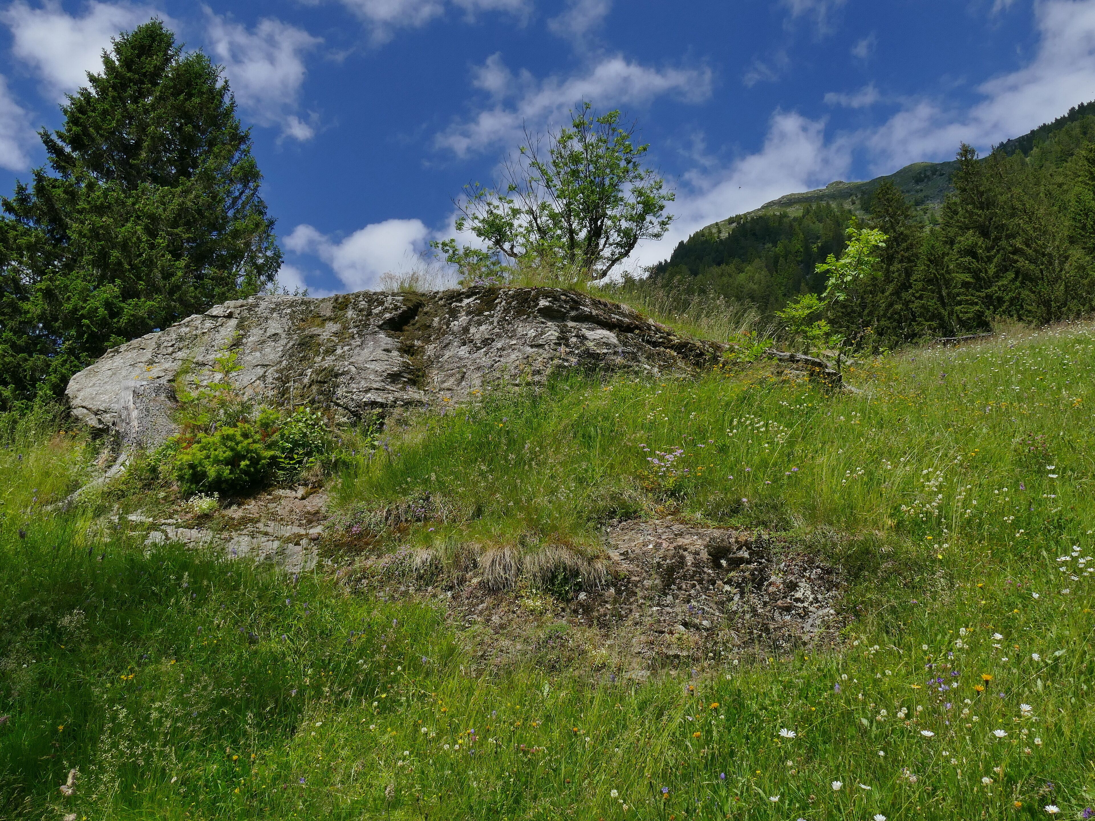 Parco naturale Gruppo di Tessa (Q1970690) Val Passiria, San Martino in Passiria