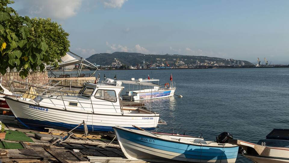 A harbor with several boats docked, a rocky shore with greenery, and a distant cityscape with hills.