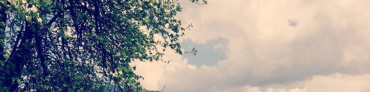 Swiss cross county drive goodness.