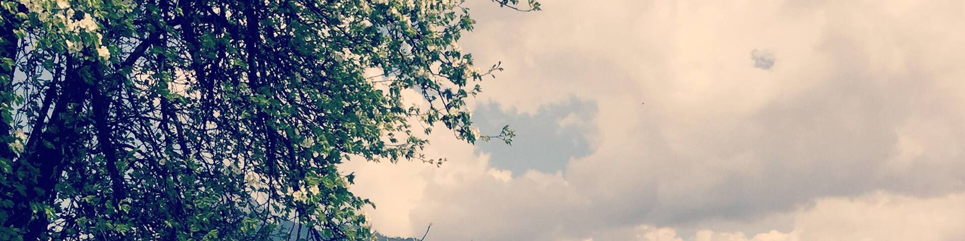 Swiss cross county drive goodness.