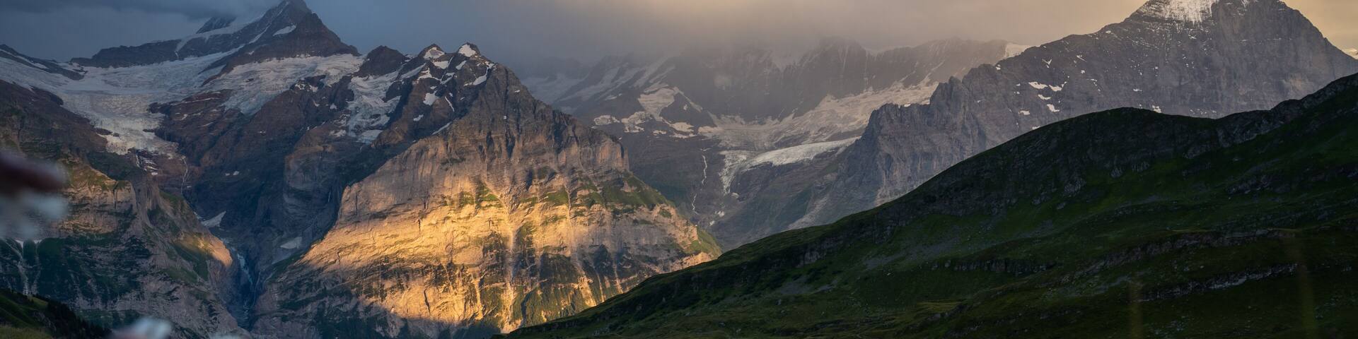 A mountainous landscape with snow-capped peaks, a valley, and wildflowers in the foreground.