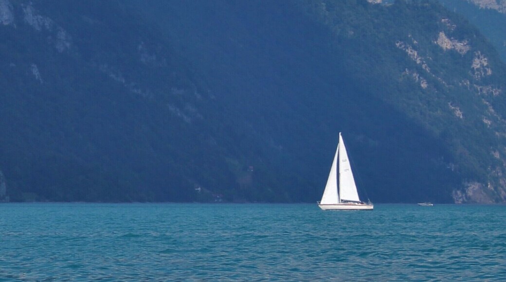 Taken on a pier in the tiny town of Mühlehorn on the coast of Walensee. The water really is that color!
#BVStrove