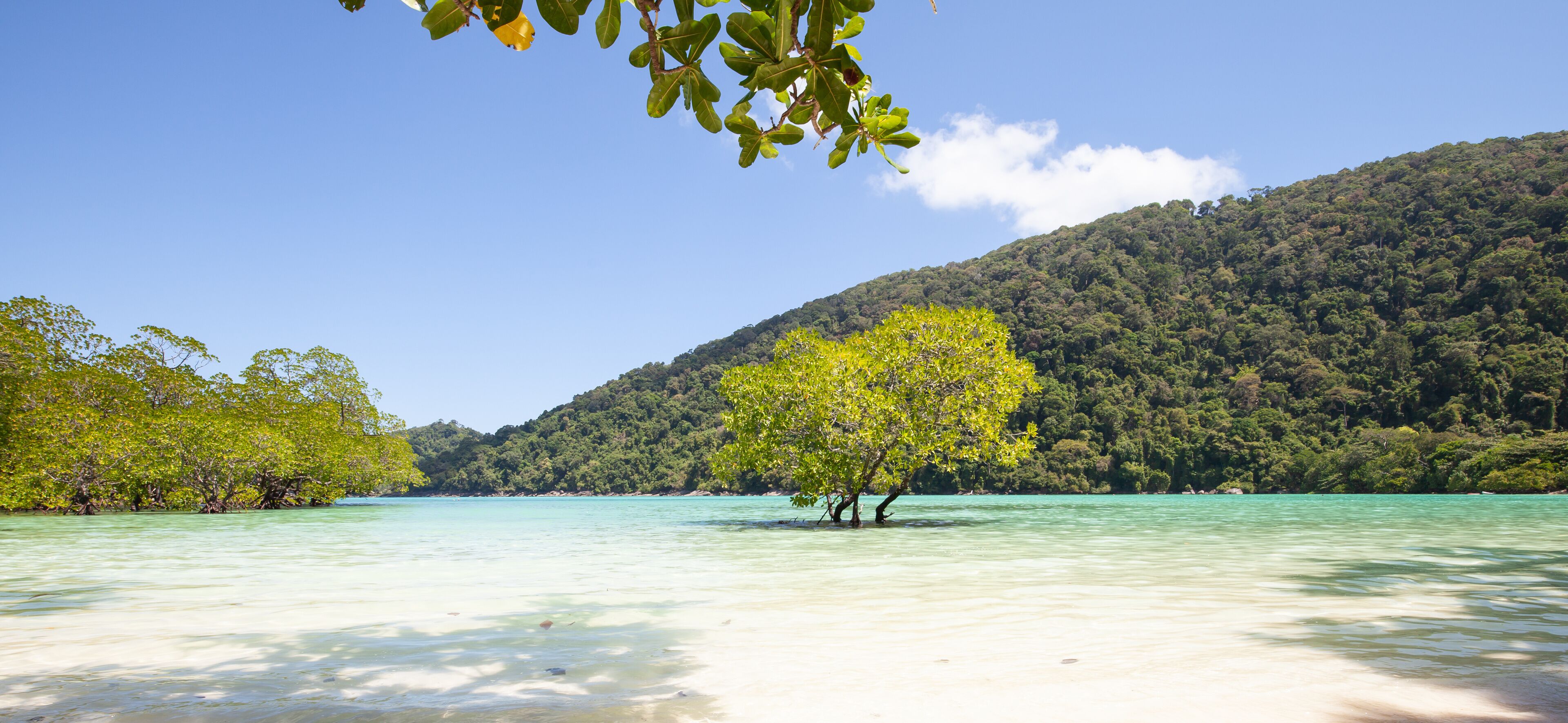 The snorkelling famous place of Mu Koh Surin Island National Park where near to Khura Buri district, Phang-nga, Thailand