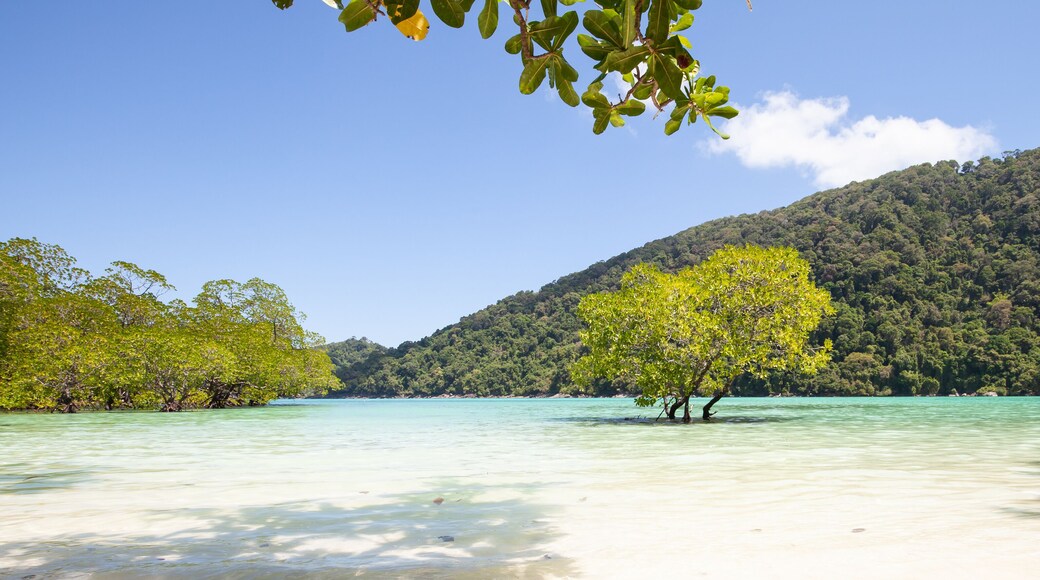 The snorkelling famous place of Mu Koh Surin Island National Park where near to Khura Buri district, Phang-nga, Thailand