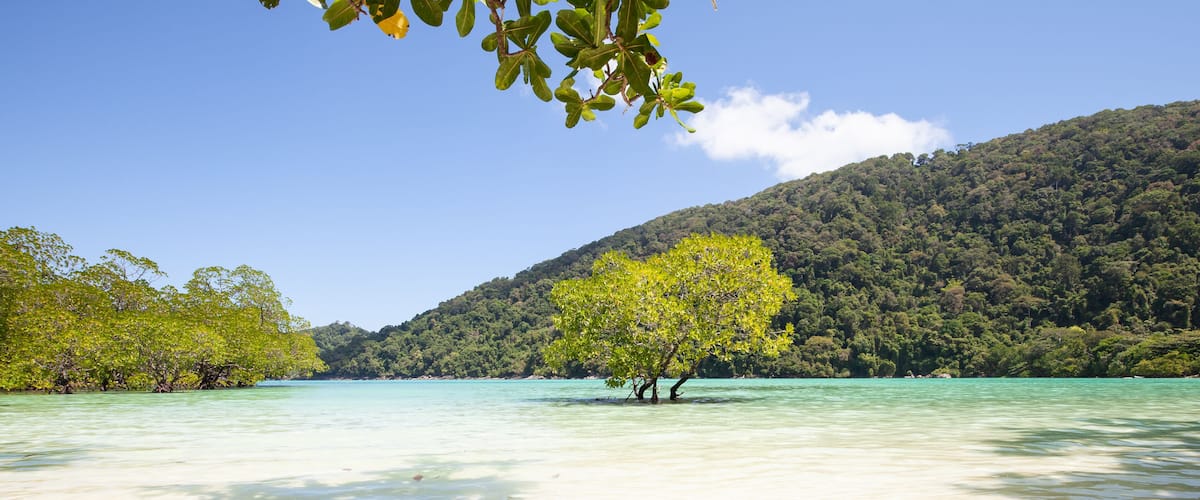 The snorkelling famous place of Mu Koh Surin Island National Park where near to Khura Buri district, Phang-nga, Thailand