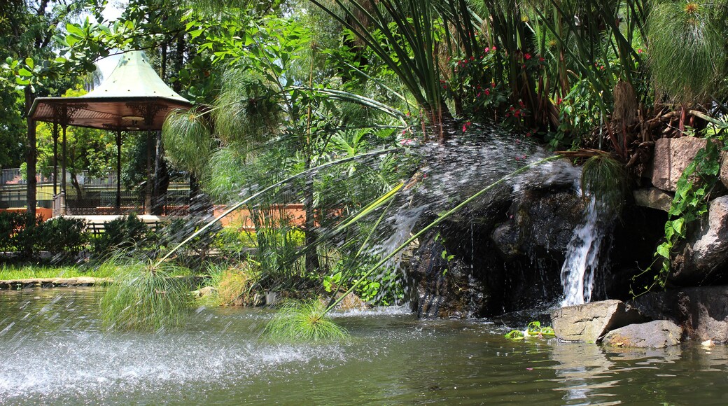 Lake in a square in the city of Amparo São Paulo, Brazil