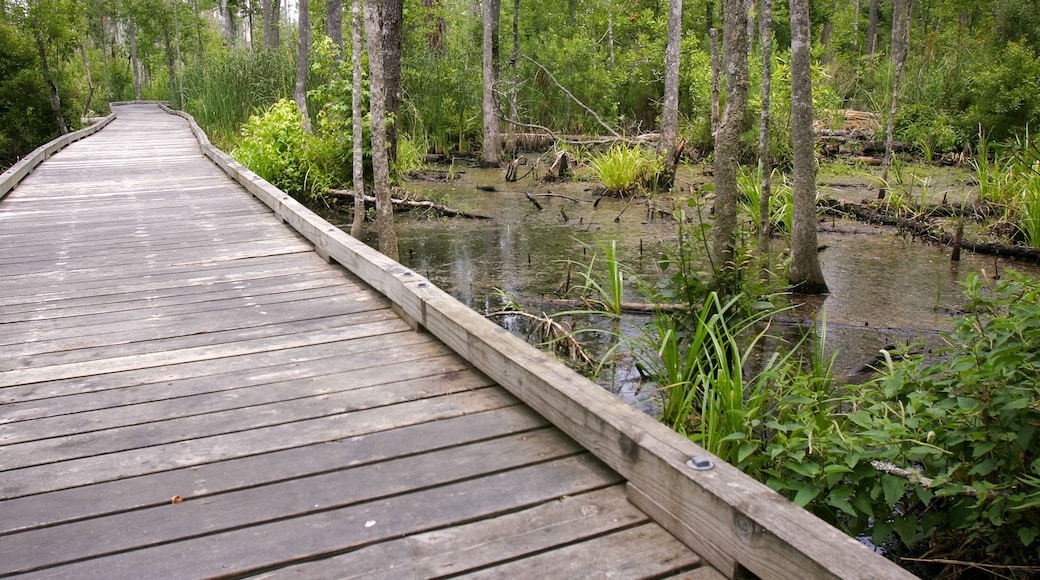 Goose Creek State Park