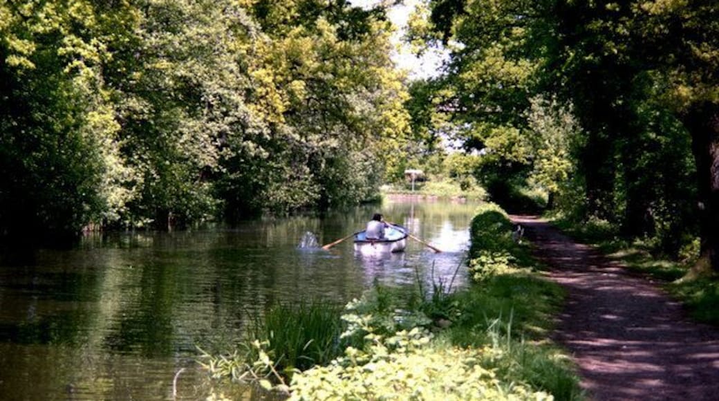 Basingstoke Canal: Junction with River Wey Looking eastwards, the sign boards at the junction can just be discerned.