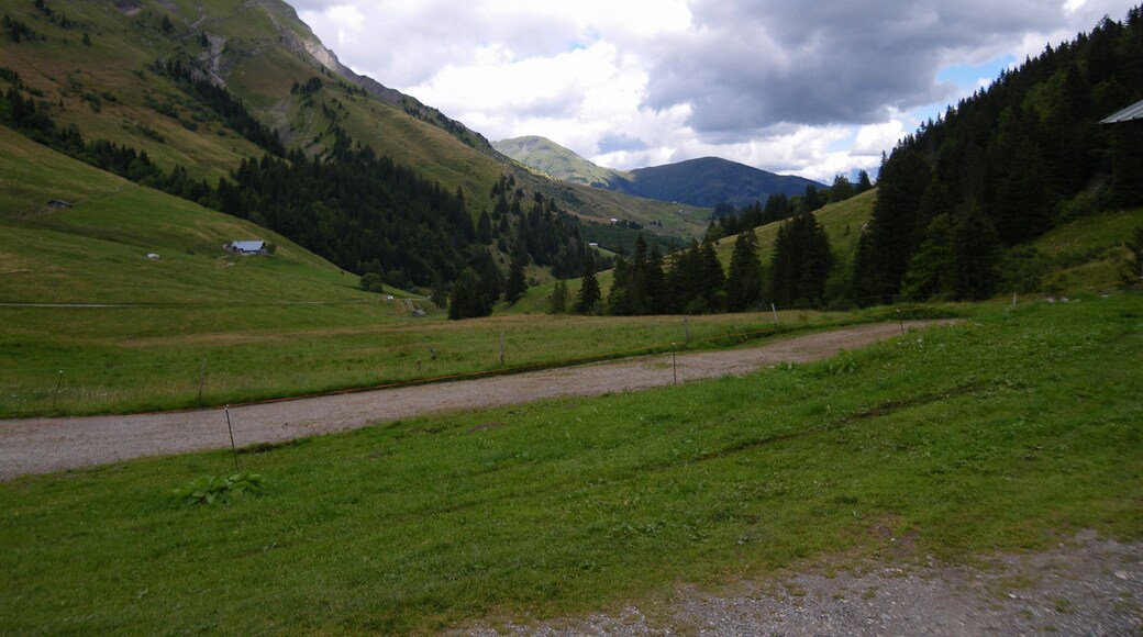 le coldes aravis