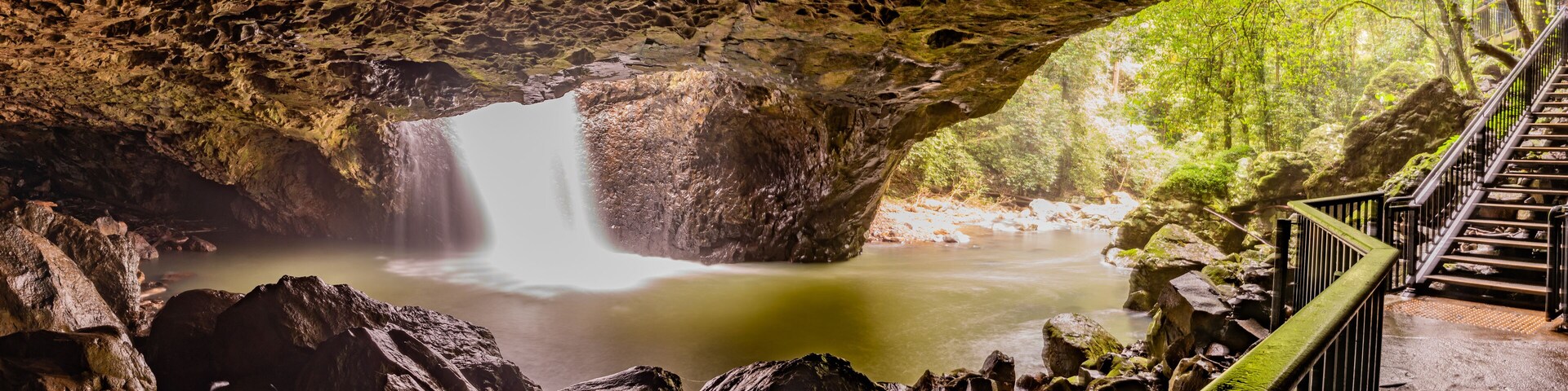 Nature views in Springbrook National Park inside Natural Bridge cave.