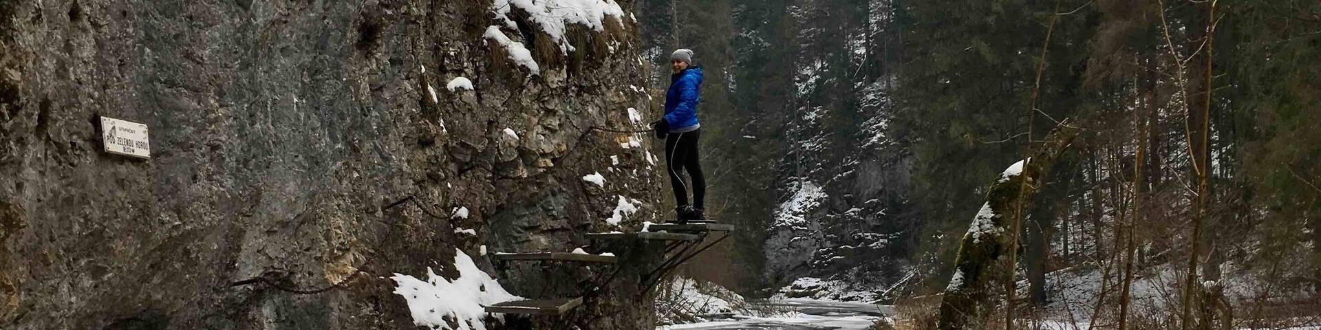 Una persona está de pie al borde de un acantilado cubierto de nieve, con un río abajo.
