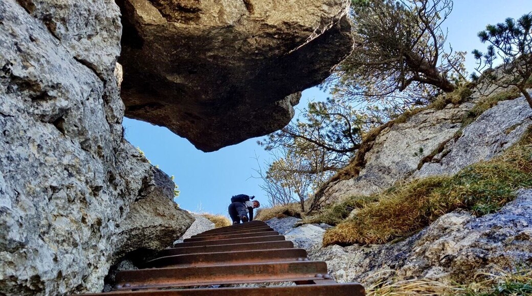 Stairway to heaven 💗