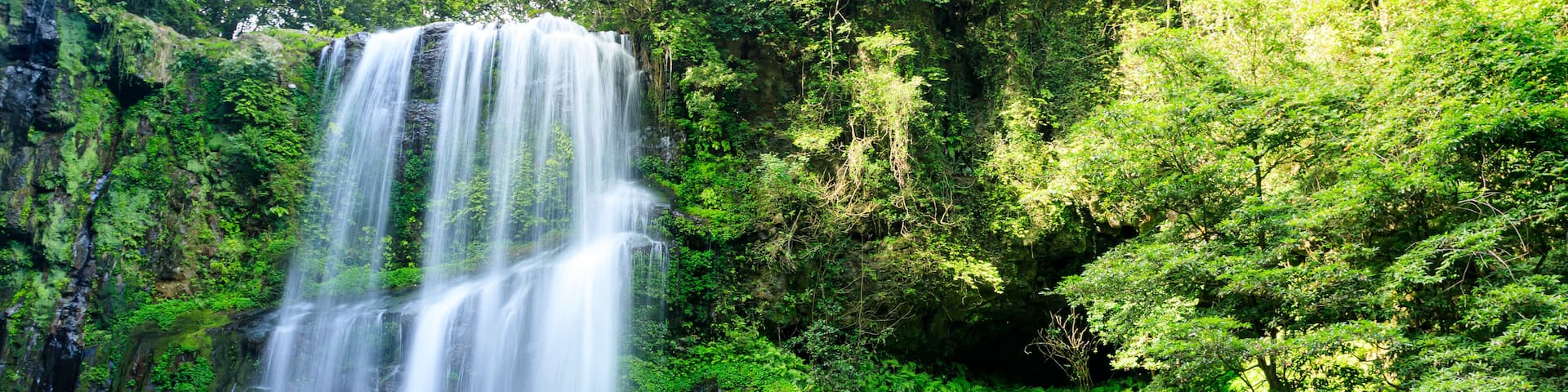 A waterfall cascading down a rocky cliff surrounded by lush green foliage.