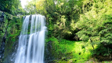 夏の桜滝 大分県日田市 Sakuradaki Falls in summer. Ooita-ken Hita city.