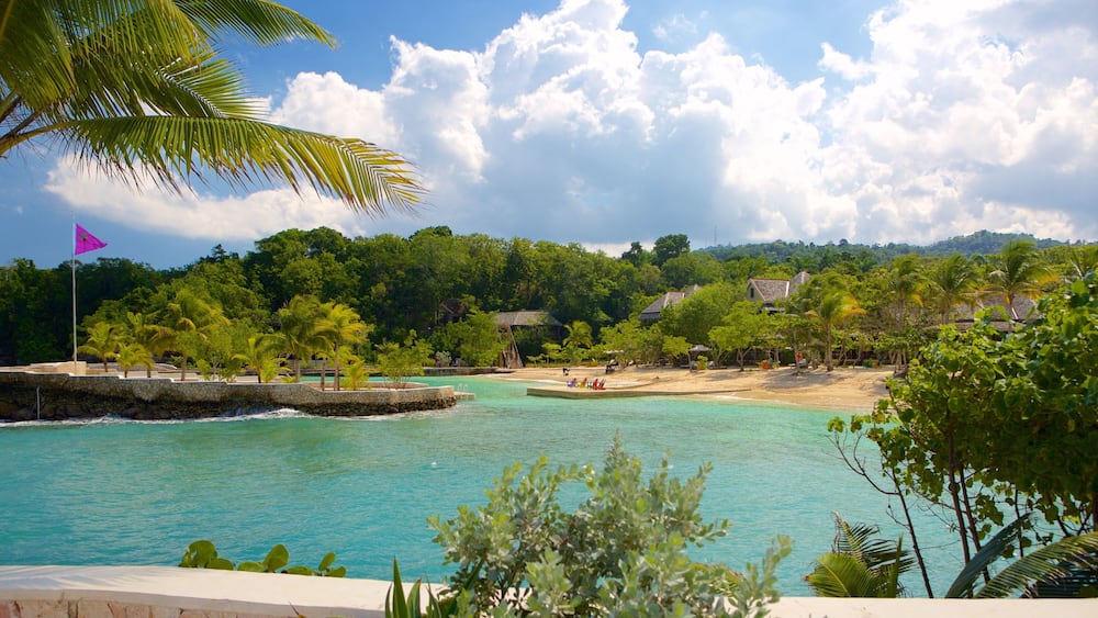 Boscobel showing a sandy beach, views and tropical scenes