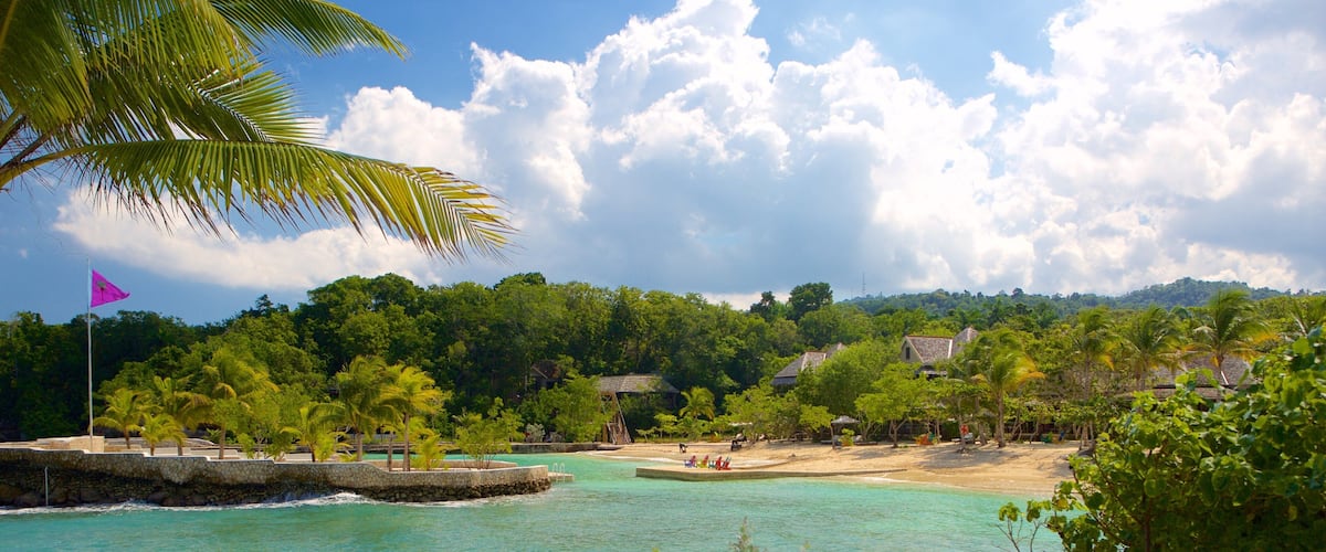 A tropical beach with clear turquoise waters, palm trees, and a stone wall with a flag.
