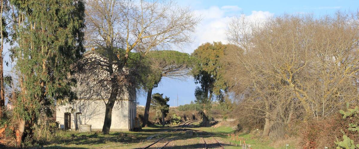 Railway tracks, trees, and a building in a rural setting.