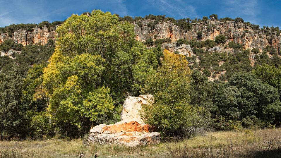 A rocky mountain with dense forest and a prominent rock formation in the foreground.