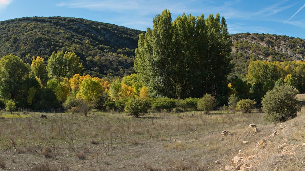 Landscape at the hiking track from Aragosa to La Cabrera in park Barranco del Rio Dulce, Guadalajara, Spain