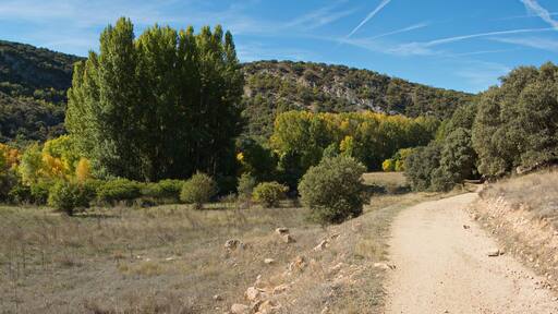 Landscape at the hiking track from Aragosa to La Cabrera in park Barranco del Rio Dulce, Guadalajara, Spain