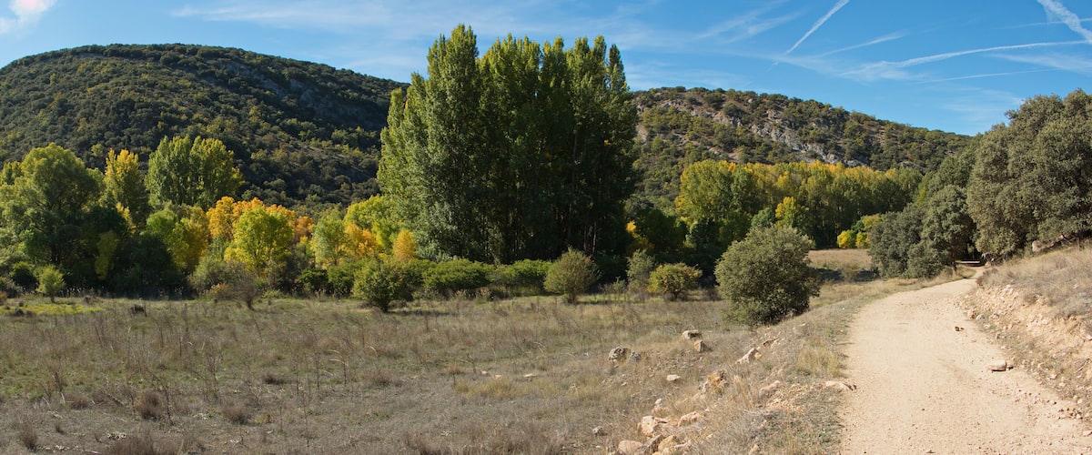 A dirt path leading through a forested area with autumn-colored trees and a mountain in the background.