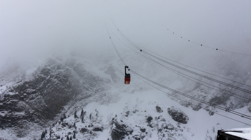 Situated in the idyllic town of Interlaken, Mt. Pilatus is a must visit. This picture taken in spring happens to be one my cherished travel memories, riding up to be in the clouds.