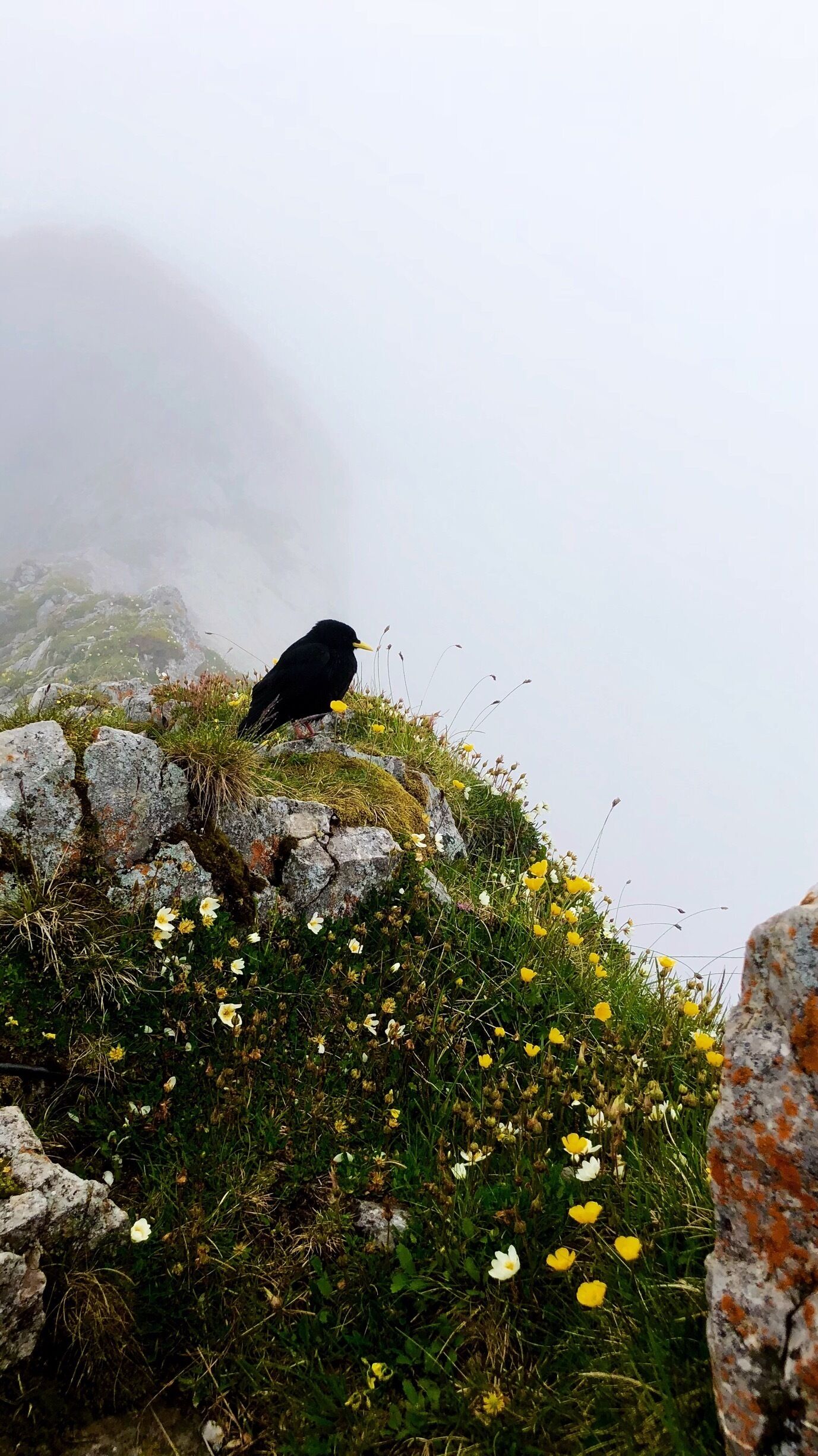 At the top of Pilatus 