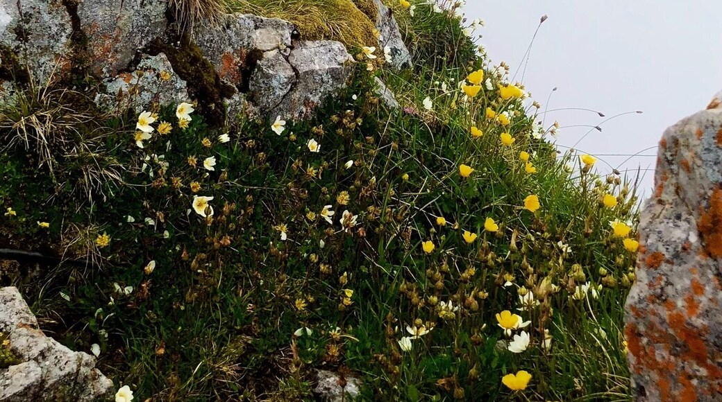 At the top of Pilatus