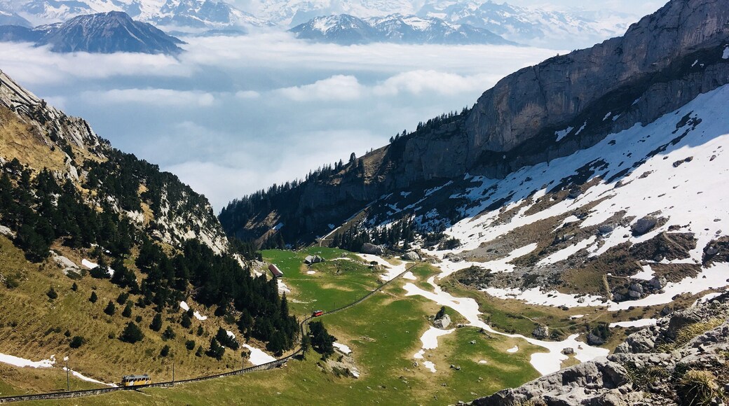 Somewhere on the way down from Mt. Pilatus just on the outskirts of Lucern. The summit can be accessed via cogwheel train or gondola or just good old fashioned hiking.
Legend has it that a dragon with healing powers calls the mountain home, but who needs a dragon when you get views like these?! #GreatOutdoors