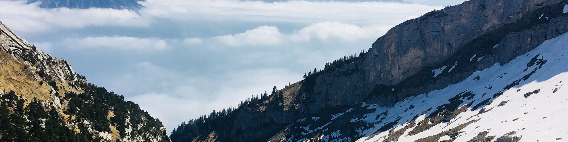 Somewhere on the way down from Mt. Pilatus just on the outskirts of Lucern. The summit can be accessed via cogwheel train or gondola or just good old fashioned hiking.
Legend has it that a dragon with healing powers calls the mountain home, but who needs a dragon when you get views like these?! #GreatOutdoors