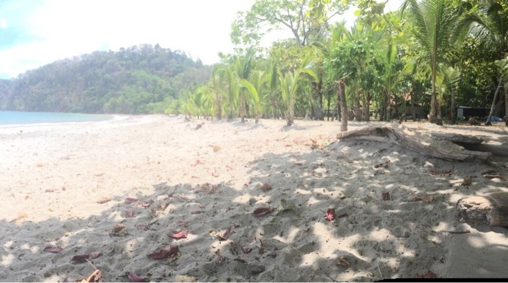 An amazing little cove that was barely inhabited. A gorgeous view and such beautiful water.