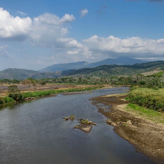 Costa Rica's Rio Tarcoles. The river is filled with giant American crocs, and scarlet macaws fly past in the sky.  #costarica #riotarcoles #nature #amazinglandscapes #thetwohobos #travelingtheworld #naturelovers #mountains #igtravel #nature #wonderful_places #roadtrip #troveon